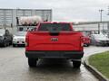 A red 2015 Ford F-150 viewed from the rear with a Ford logo on the tailgate and the rear bumper visible