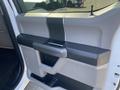 Interior door panel of a 2017 Ford F-150 featuring a handle and storage compartment in a gray and black color scheme