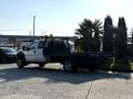 A 2014 Ford F-550 flatbed truck with a black flatbed and a white cab parked beside palm trees