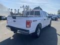 A white 2017 Ford F-150 with a truck bed rack parked in a lot showing its rear and side views