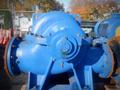 A blue industrial pump with a rounded body and flanged connections featuring bolts and a central drive shaft