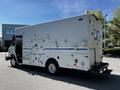 A white 2009 Morgan Olson Workhorse vehicle with side compartments and blue stripes