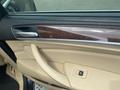 Interior door panel of a 2009 BMW X5 featuring wood trim and a door handle with a power window control button