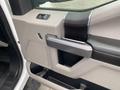 Interior door panel of a 2018 Ford F-150 featuring a handle speaker and control buttons