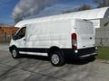 A 2017 Ford Transit cargo van in white with a black stripe along the bottom and large rear doors parked on a paved surface