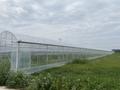 A large commercial tunnel greenhouse measuring 100 feet long 30 feet wide and 14 feet tall made of transparent plastic and metal framing