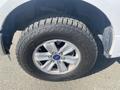 A close-up of a 2017 Ford F-150 tire featuring a silver alloy wheel and a rugged tread pattern designed for off-road driving