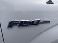 Close-up of a chrome F-150 XL badge on a white 2013 Ford F-150 truck