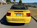 A yellow 2003 Ford Mustang convertible shown from the rear with the word "MUSTANG" displayed prominently on the trunk and a license plate visible