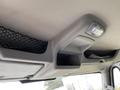 Interior view of a 2014 International Durastar ceiling with overhead storage compartments and light fixture