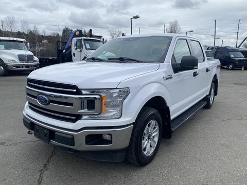 A 2019 Ford F-150 in white color with a chrome front grille and chrome accents on the sides and bumper