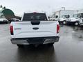 A white 2016 Ford F-150 with a black bed liner showing the rear view and the Ford logo on the tailgate