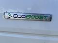 A close-up of the EcoBoost emblem on a 2014 Ford F-150 showcasing the logo with green and blue lettering