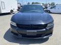 A black 2019 Dodge Charger with a sporty front design and a blank license plate holder