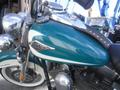 Close-up of a 2009 Harley-Davidson FLSTC with a teal gas tank and chrome details showcasing the iconic logo and shiny components