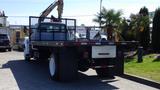 A 2006 Ford F-650 flatbed truck with a metal rack and tailgate visible from the rear