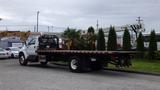 A 2008 Ford F-750 flatbed truck with a black bed is parked and loaded with several potted palm trees and tall green shrubs