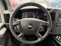 Steering wheel of a 2013 Chevrolet Express with controls on the left side and a dashboard showing assorted gauges behind the wheel