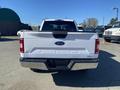 A white 2019 Ford F-150 truck viewed from the rear showing the tailgate with the F-150 logo and chrome bumper