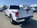A white 2017 Ford F-150 pickup truck parked with its rear visible showcasing the bed and tailgate design with the 4x4 emblem