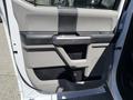 Interior door panel of a 2019 Ford F-350 SD featuring a gray design with black accents and a textured grip handle