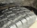 Close-up view of the tire of a 2009 Chevrolet Express showing tread pattern and motion blur