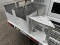A 2009 Ford Econoline van with metallic storage compartments attached to the rear including various shaped containers and a shelf