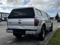 A silver 2014 Ford F-150 with a truck cap parked with its back facing the viewer showcasing its tailgate and rear design