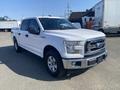 A white 2017 Ford F-150 pickup truck with a chrome grille and alloy wheels is parked with its front slightly angled towards the viewer