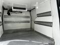 Interior cargo area of a 2019 Ford Transit Connect featuring metal shelving and a checkered floor design