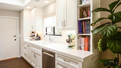 A modern kitchen with white cabinetry a stainless steel dishwasher a stand mixer and a shelf filled with colorful stacked books next to a large leafy green houseplant