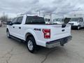 White 2019 Ford F-150 truck with four-wheel drive functionality visible from the rear angle showcasing a spacious cab and chrome accents on the tailgate and wheels