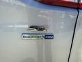 The image shows a silver 2014 Ford Escape with an SE badge and an EcoBoost 4WD emblem on the rear panel