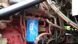 Close-up of a blue oil filter with visible markings among various pipes and engine components in a Western Star Trucks 4900 engine compartment