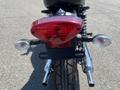 Close-up of the rear of a 2019 Kawasaki W800 CAFÉ showcasing the taillight with chrome turn signals and a black fender above a textured tire