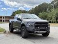 A 2019 Ford F-150 in a matte finish with off-road tires and a front bumper guard parked on a paved area
