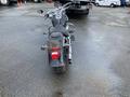 A black 2008 Harley-Davidson FLSTFI motorcycle viewed from the rear showing a chrome exhaust pipe and a red tail light