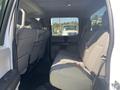 Interior view of the back seat of a 2017 Ford F-150 with spacious seating and gray upholstery