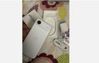 A hand holding a white Apple iPhone 17 Pro Max with its back facing the camera surrounded by its original box and accessories