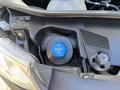 Blue cap labeled DEF only located inside the engine compartment of a 2019 Mercedes-Benz Sprinter