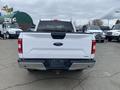 A 2019 Ford F-150 viewed from the rear with a white exterior and a silver tailgate featuring the Ford logo and the model name F-150