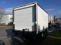 A 2020 Isuzu NPR box truck with a white exterior is seen from the rear showing the back doors and tail lights