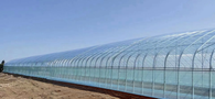 A large commercial tunnel greenhouse measuring 100 feet long, 30 feet wide, and 14 feet high with a transparent structure and curved roof design