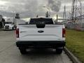 A 2016 Ford F-150 viewed from the rear showcasing its white exterior and distinctive tailgate design
