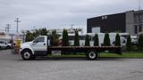 A 2008 Ford F-750 flatbed truck carrying several tall, narrow trees lined up along the truck's edge